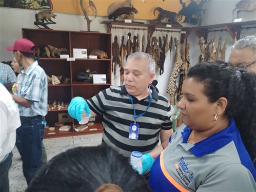 Practica de análisis de muestras mediante Tiras de Flujo Lateral 